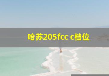 哈苏205fcc c档位